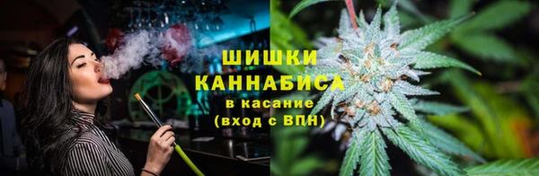 индика Навашино