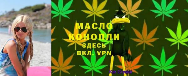 индика Навашино