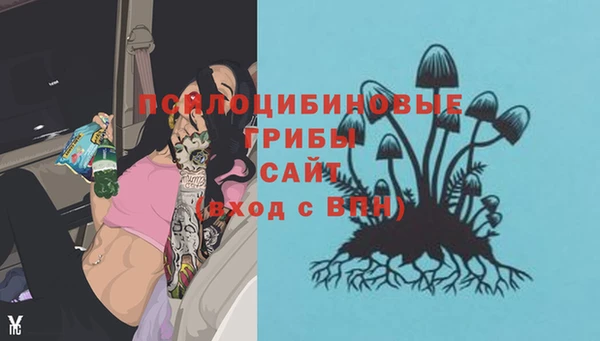 прущие крисы Болотное