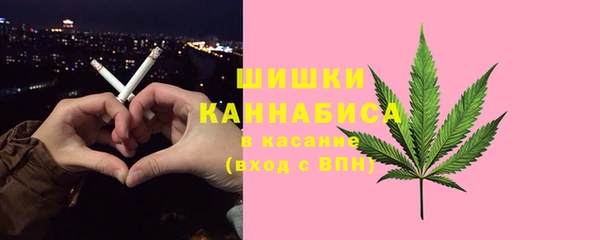 индика Навашино