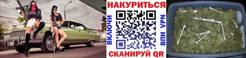 Канабис конопля  Пустошка 